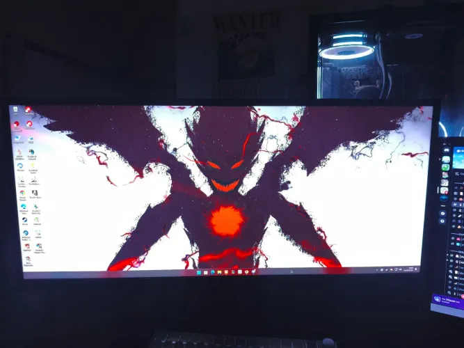 Monitor Ultra Wide 29P