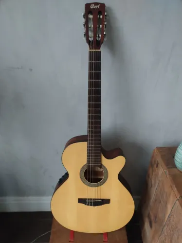 Violão Cort CEC1 OP