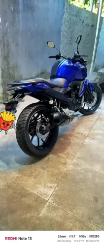 FZ 15 2023