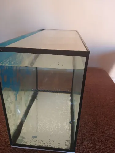 Aquário 50 cm