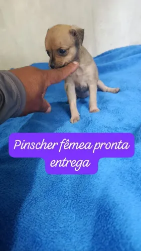 Linda