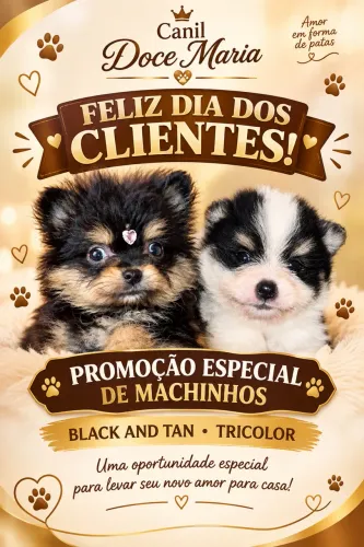 Spot alemão