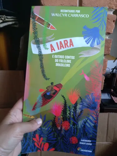 Lote livros infantis