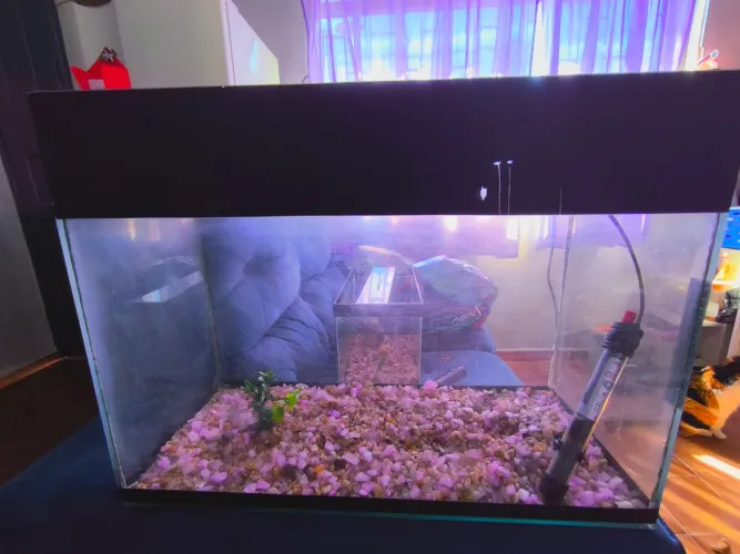 Aquário 60lt