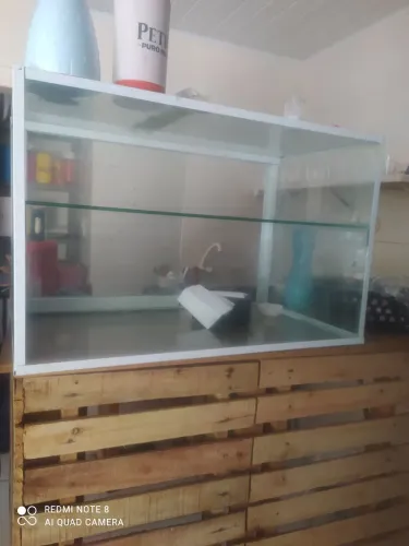 Vendo uma vitrine não e estufa