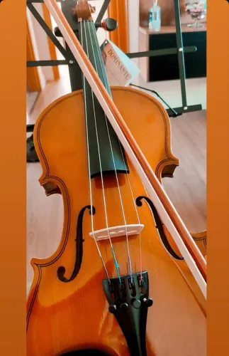 Violino Novo