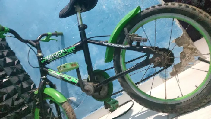 Bicicleta