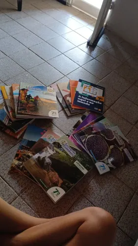 Livros 7 ano