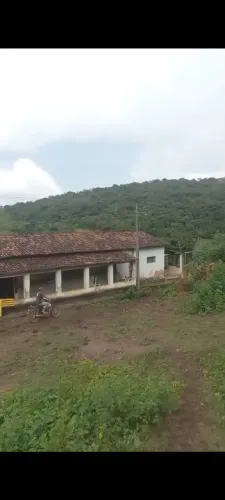 Super Oportunidade!!! Fazenda com 147 hectares em Areia -Pb.
