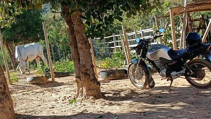 Vendo sítio 41 ekitares