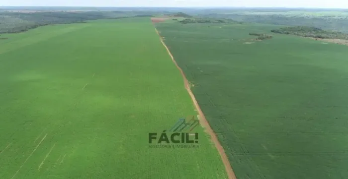 Fazenda 254 Alq | 860 ha Plano | Alta Produtividade | Monte do Carmo/TO