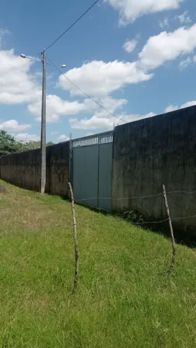 Fazendo frios