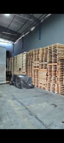 paletes novos e usados 