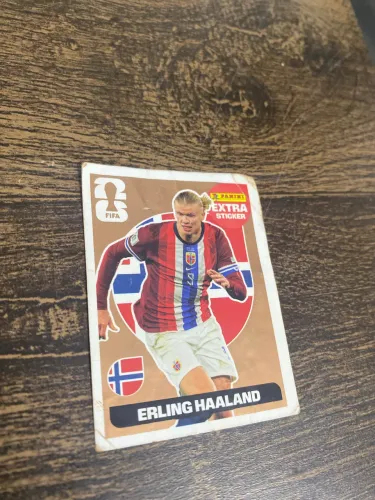 Haaland bronze