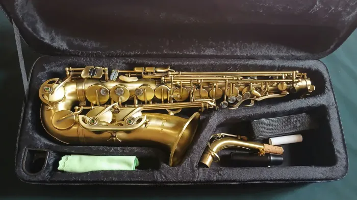 Sax alto vedo novo revisado e ajustado