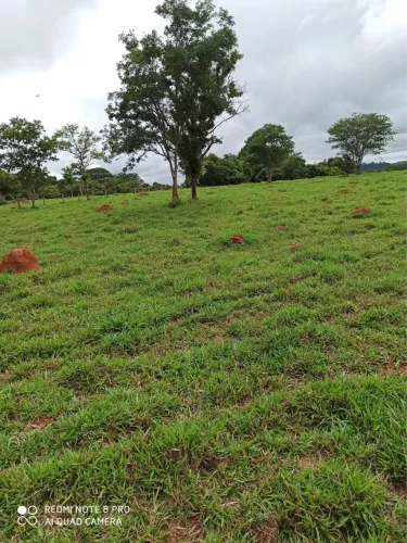 Fazenda de 43 alqueires e 10 litros em Caturai-Go