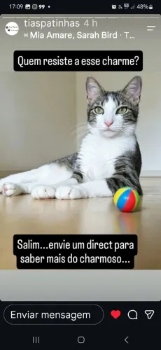 SALIM, CASTRADO E VACINADO