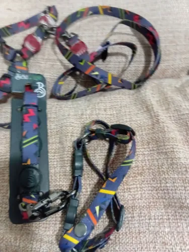 Duas coleiras pet nova