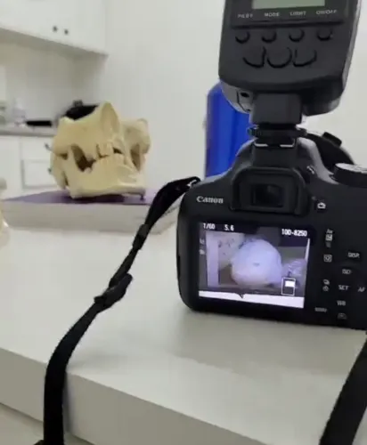Canon Rebel t5