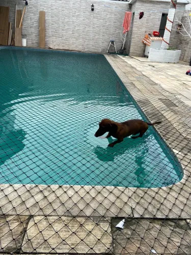 Telas de proteção
