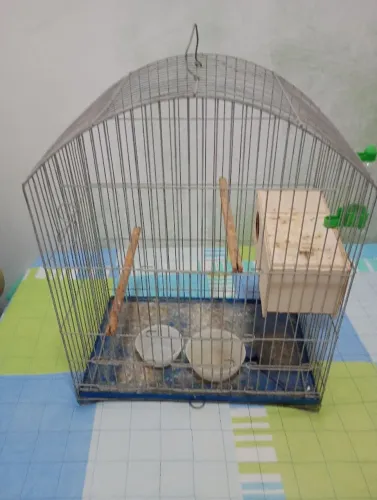 Gaiola de metal