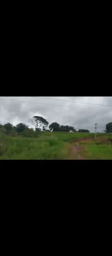 Terras agrícolas/fazendas