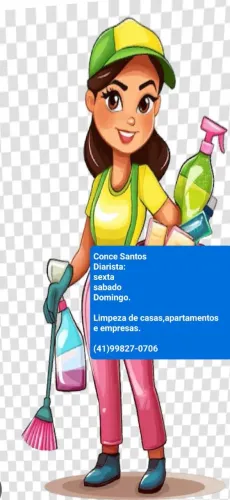 Diarista 