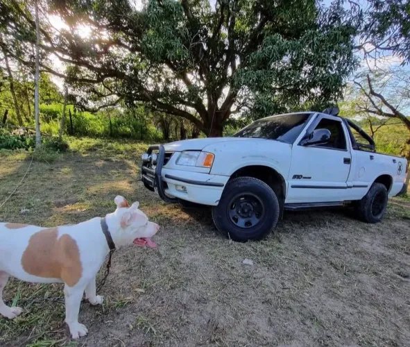 Chevrolet S10 Pick-up Luxe 2.2 MPFI / EFI 1997