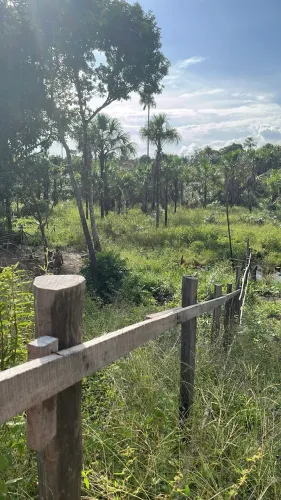 Vendo terreno na norte sul