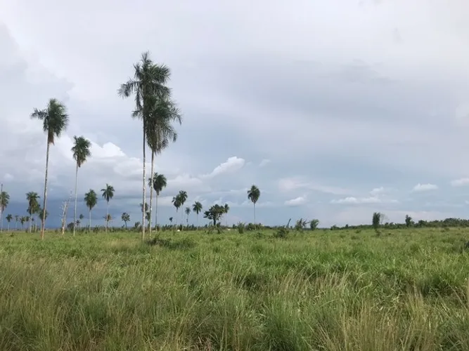 Fazenda de 9.249 hectares