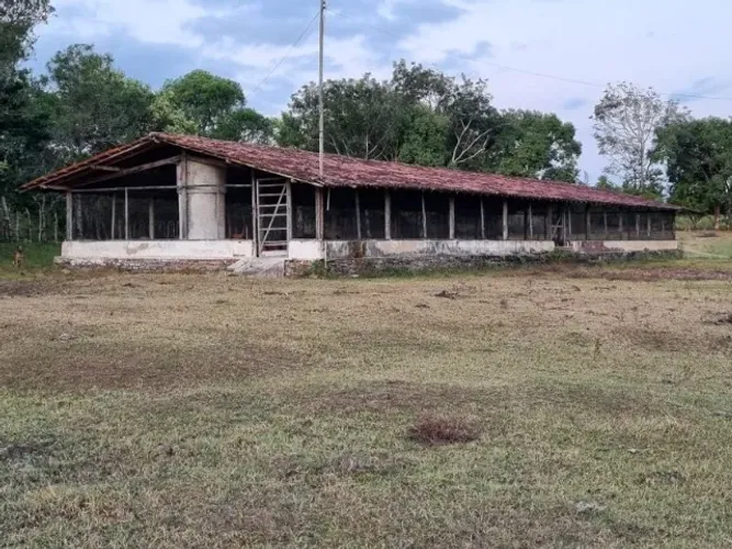 Alugo 5 galpões para criação de frangos em Nísia Floresta