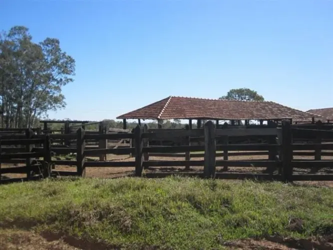 Fazenda de 1.875 alq em sete lagoa MS. 30 mil por hec