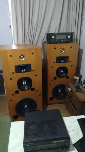 Caixas de som vintage - Snake PAGAMENTO E RETIRADA NO LOCAL.