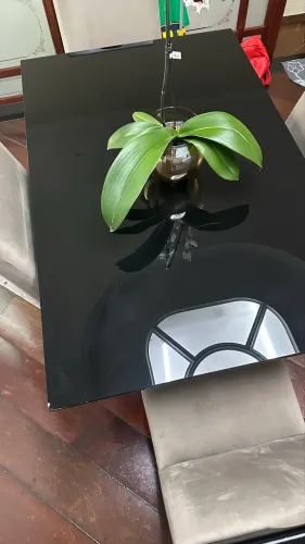 Mesa de jantar com 4 cadeiras estofados NOVOS
