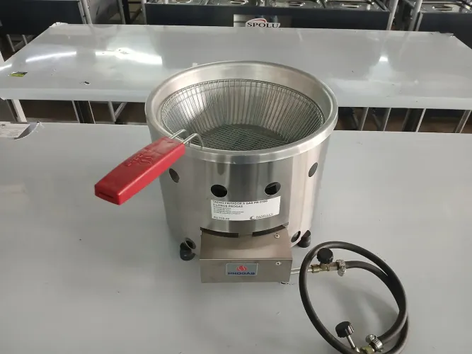 Fritadeira Elétrica 3 Litros a gás Progás 