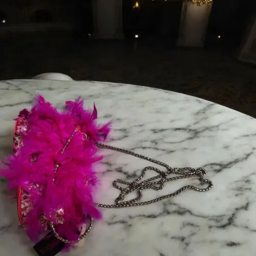 Bolsa Pink plumas Alça Corrente.