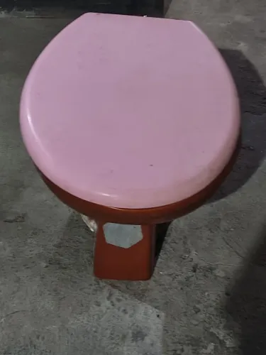 Vaso sanitário