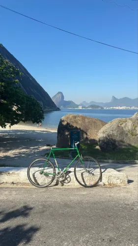 Bicicleta Fixa Peugeot 10 