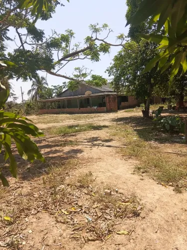 Vendo uma chácara com 6 e quitarem de terra já formado