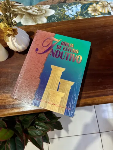 lote 2 livros