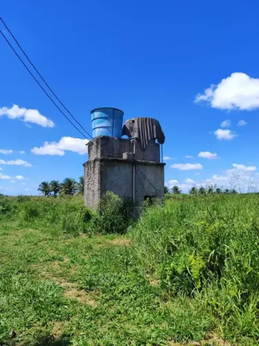 Granja com 17 hectares na região de Macaiba