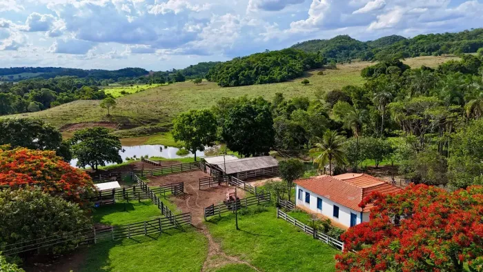 Fazenda a venda, em Piracanjuba - Goiás!!!