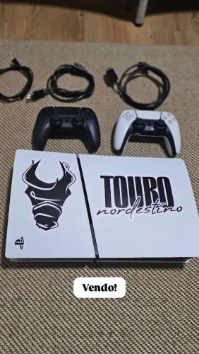 Touro Nordestino 