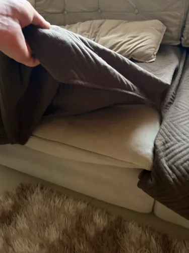 Sofá cama
