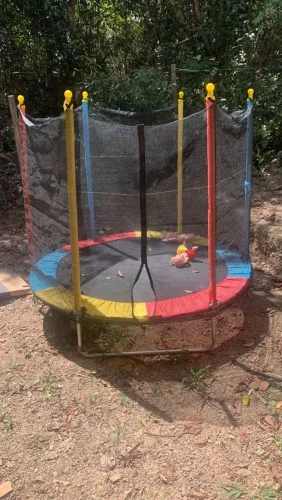 Pula pula infantil