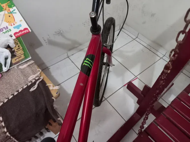 Bicleta