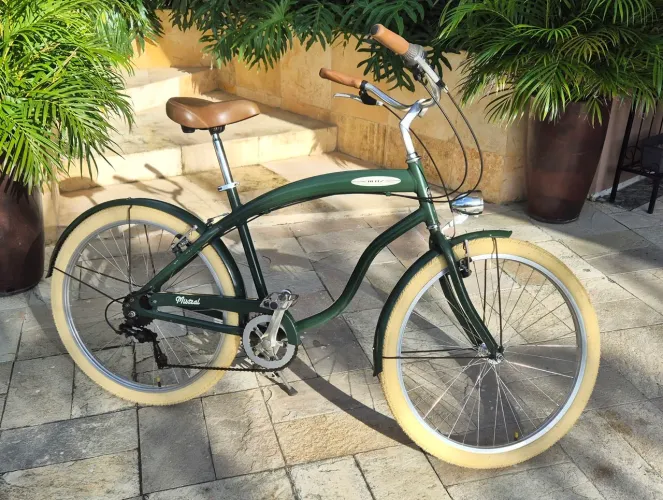 Bicicleta Blitz