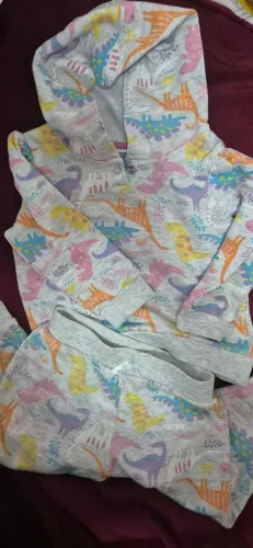 Kit Moletom importado Dinossauros - tamanho 2 anos