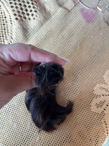 cabelo humano 