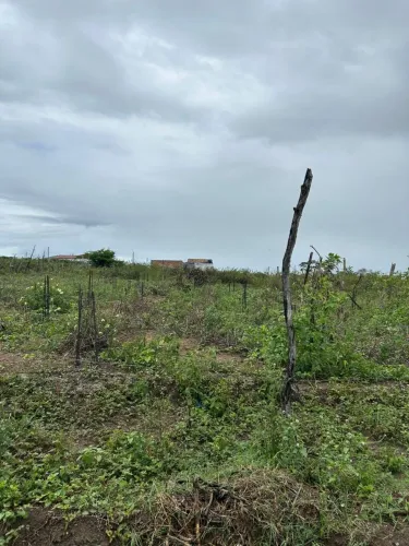Vendo terreno em Umbaúba escriturado 